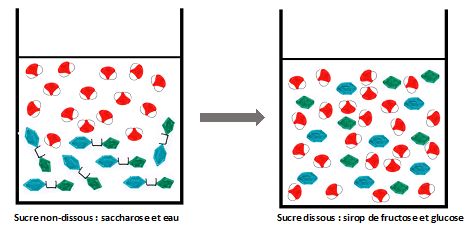 sucre cristaux dissolution